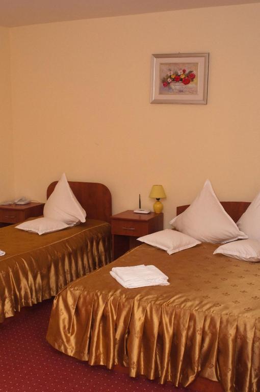 Hotel Delaf Cluj-Napoca Extérieur photo