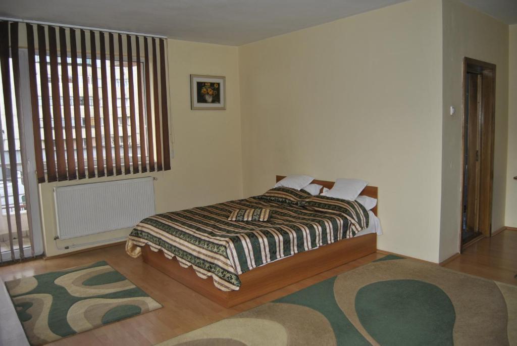 Hotel Delaf Cluj-Napoca Extérieur photo