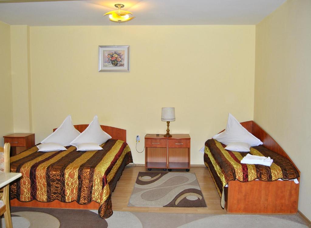 Hotel Delaf Cluj-Napoca Extérieur photo